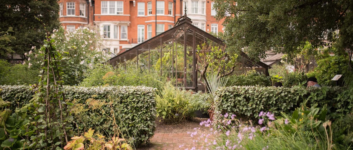 London For Toddlers: Chelsea Physic Garden