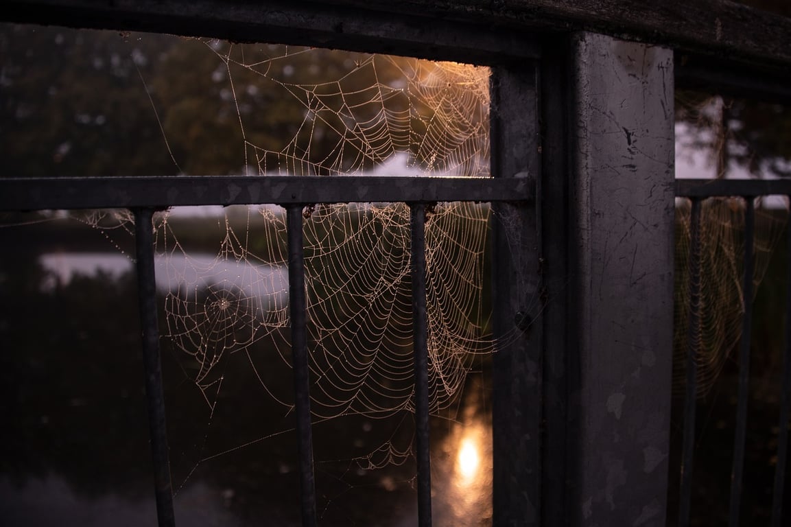 London For Toddlers: Family Halloween: Stories from the Enchanted Garden