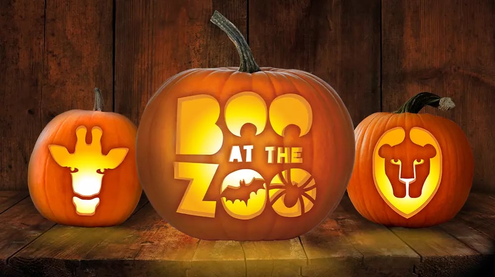 London For Toddlers: Boo at the Zoo 2025