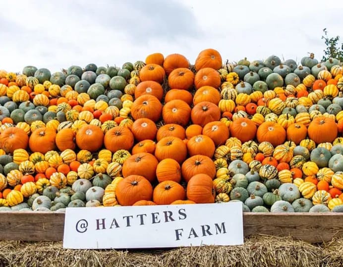 London For Toddlers: Hatter's Farm