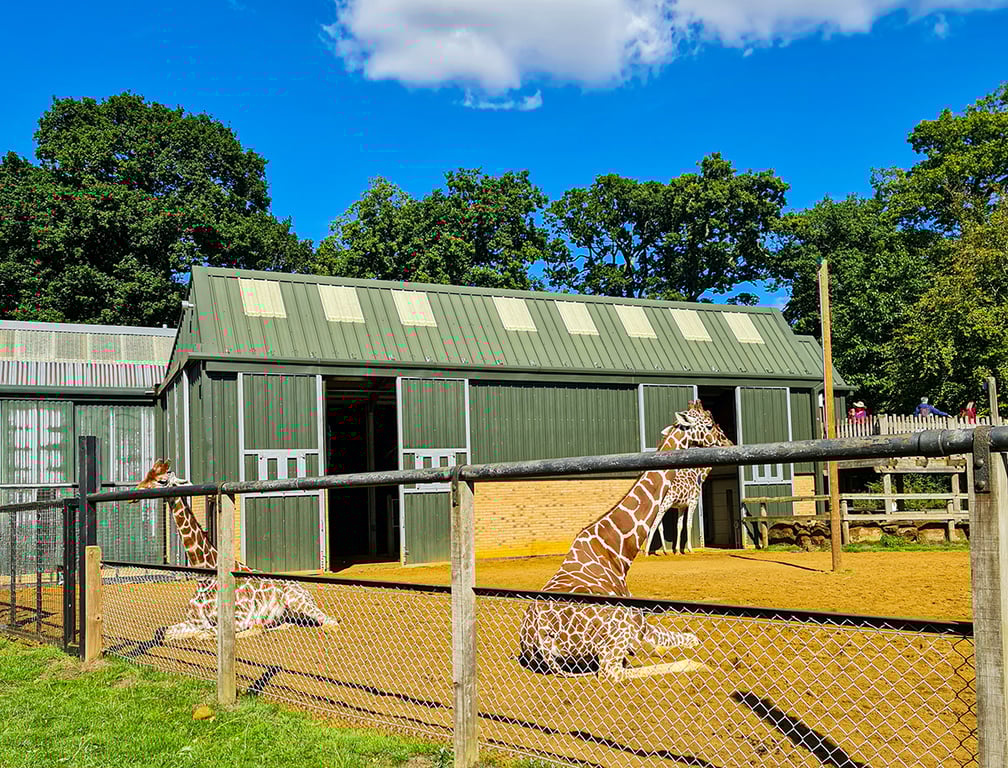 London For Toddlers: Whipsnade Zoo
