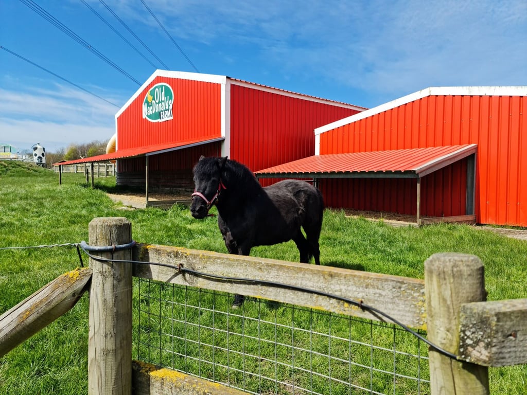 London For Toddlers: Old MacDonald's Farm & Fun Park