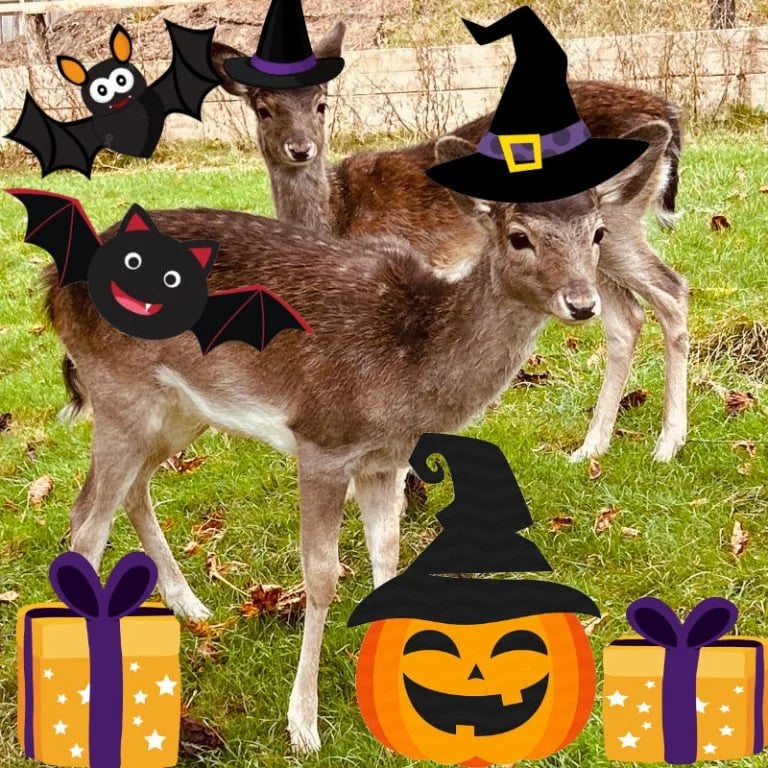 London For Toddlers: Halloween at the Castle