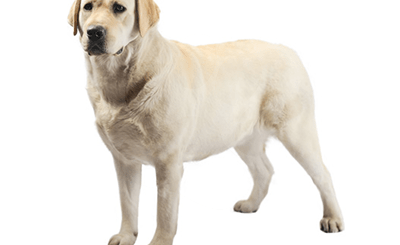 1565