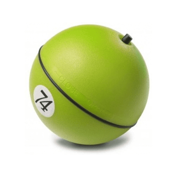 4050