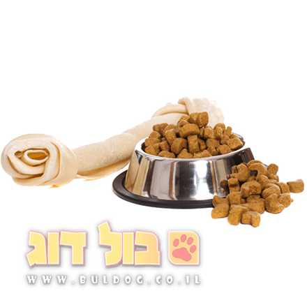 המדריך המלא לבחירת מזון טוב לכלב