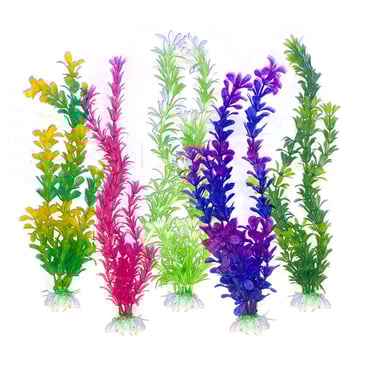 דיל 5 צמחים לאקווריום 30 סמ