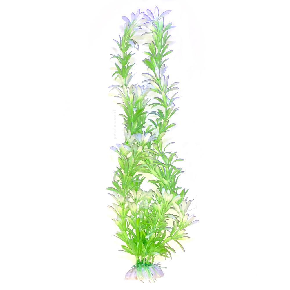 צמח לאקווריום 40 סמ ירוק לבן