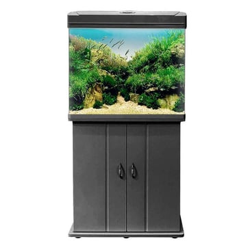 אקווריום שחור 60x49 1