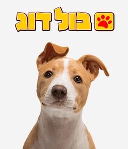 בולדוג חנות חיות