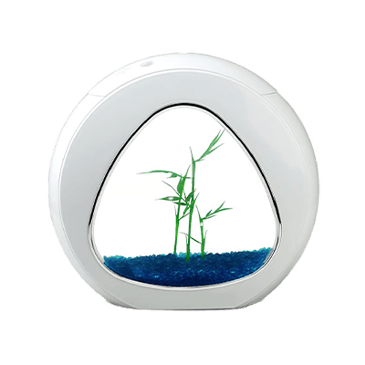 אקווריום קטן (עד 50 ס"מ)