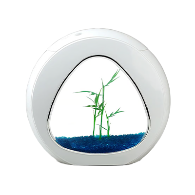 אקווריום קטן (עד 50 ס"מ)