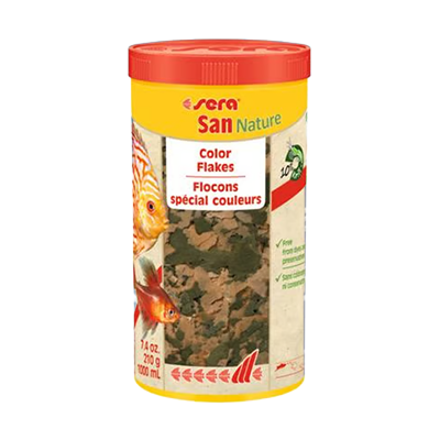 מזון לדגי נוי