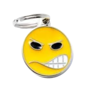 תגי שם לכלב צ'ארם