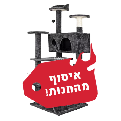 איסוף עצמי