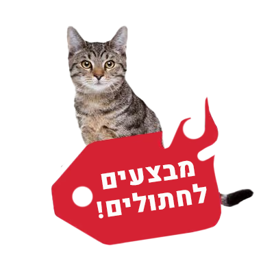 מבצעים לחתולים
