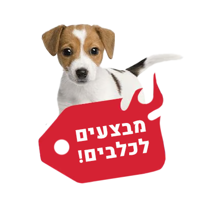 מבצעים לכלבים