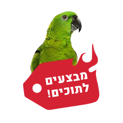 מבצעים לתוכים