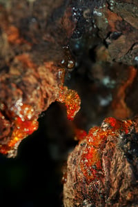 Amber
