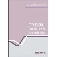 Ceza Koşulu ve Özellikle Zarar ve Tazminatla İlişkisi