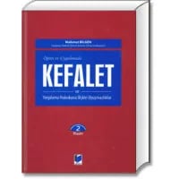 Kefalet ve Yargılama Hukukuna İlişkin Uyuşmazlıklar