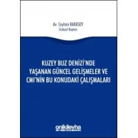 Kuzey Buz Denizi'nde Yaşanan Güncel Gelişmeler ve CMI'nın Bu Konudaki Çalışmaları