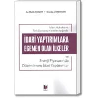 İdari Yaptırımlara Egemen Olan İlkeler ve Enerji Piyasasında Düzenlenen İdari Yaptırımlar