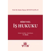 Bireysel İş Hukuku