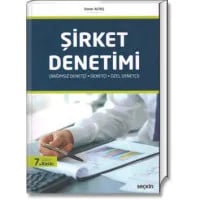 Şirket Denetimi