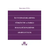 İş Uyuşmazlıklarında Türkiye'de ve Farklı Hukuk Düzenlerinde Arabuluculuk