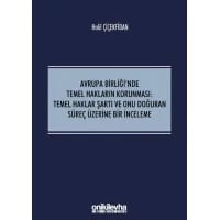 Avrupa Birliği'nde Temel Hakların Korunması:Temel Haklar Şartı ve Onu Doğuran Süreç Üzerine Bir İnceleme