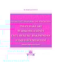 İnsan Hakları Mahkemelerinin Usul Hukuku Bakımından Etkililiği Meselesi