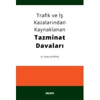 Trafik ve İş Kazalarından Kaynaklanan Tazminat Davaları