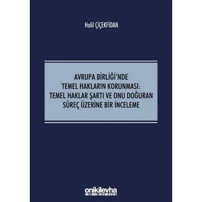 Avrupa Birliği'nde Temel Hakların Korunması:Temel Haklar Şartı ve Onu Doğuran Süreç Üzerine Bir İnceleme