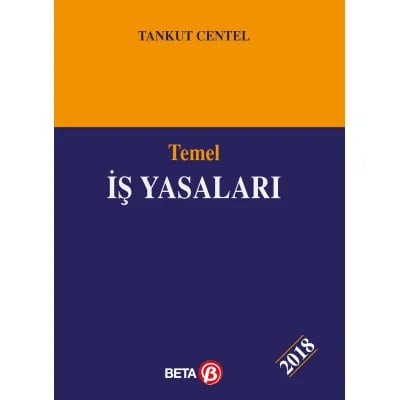 Temel İş Yasaları