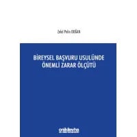 Bireysel Başvuru Usulünde Önemli Zarar Ölçütü