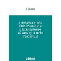İş Hukukunda 6701 Sayılı Türkiye İnsan Hakları ve Eşitlik Kurumu Kanunu Bağlamında Eşitlik İlkesi ve Ayrımcılık Yasağı