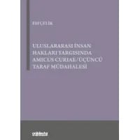 Uluslararası İnsan Hakları Yargısında Amicus Curiae/Üçüncü Taraf Müdahalesi