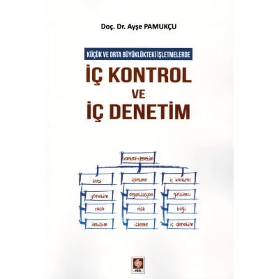 İç Kontrol ve İç Denetim