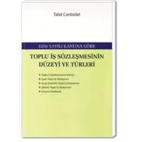 Toplu İş Sözleşmesinin Düzeyi ve Türleri