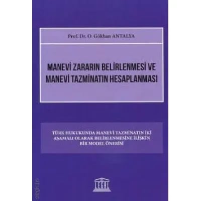 Manevi Zararın Belirlenmesi ve Manevi Tazminatın Hesaplanması