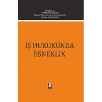 İş Hukukunda Esneklik