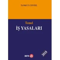 Temel İş Yasaları