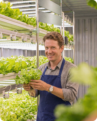 Container-Based Vertical Farming Solutions