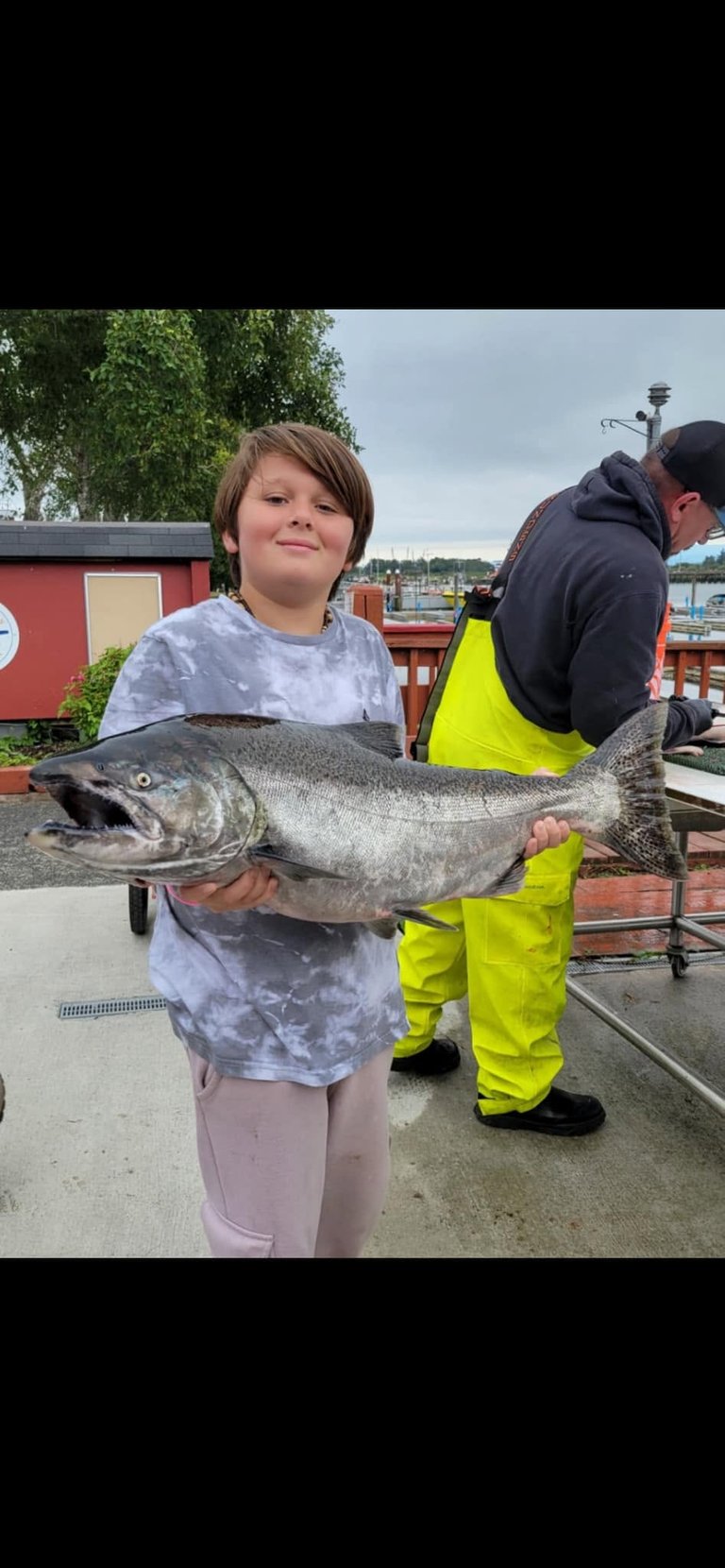 Chinook Salmon