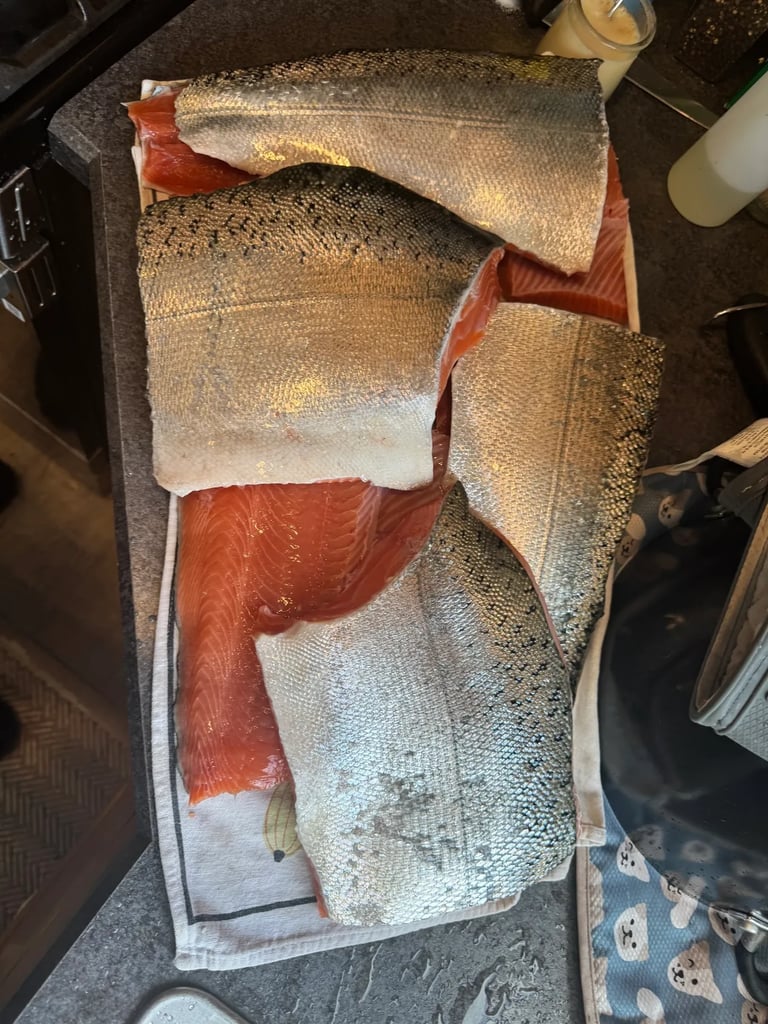 Ocean Salmon