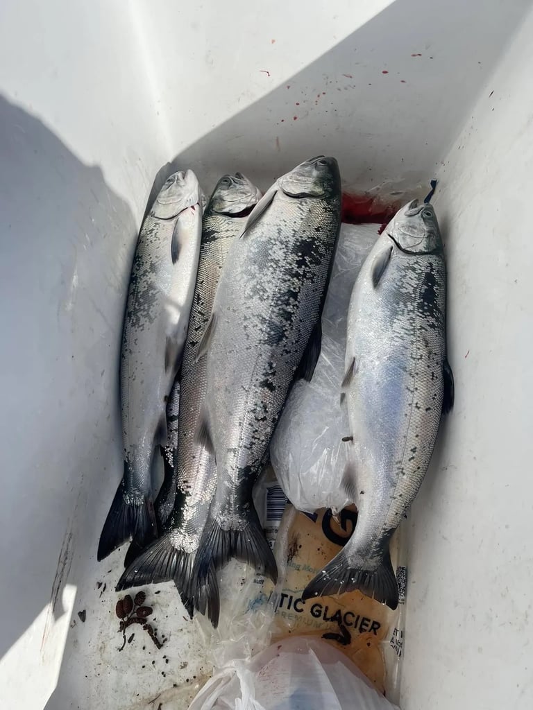 beautiful fresh dinner!