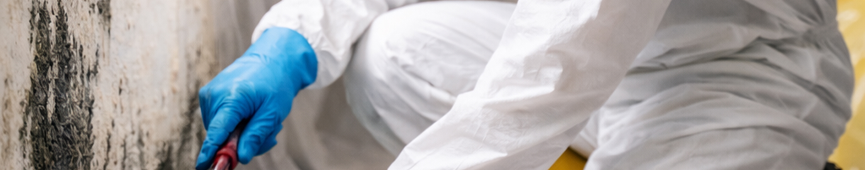 Guides, Insights, and Practical Advice