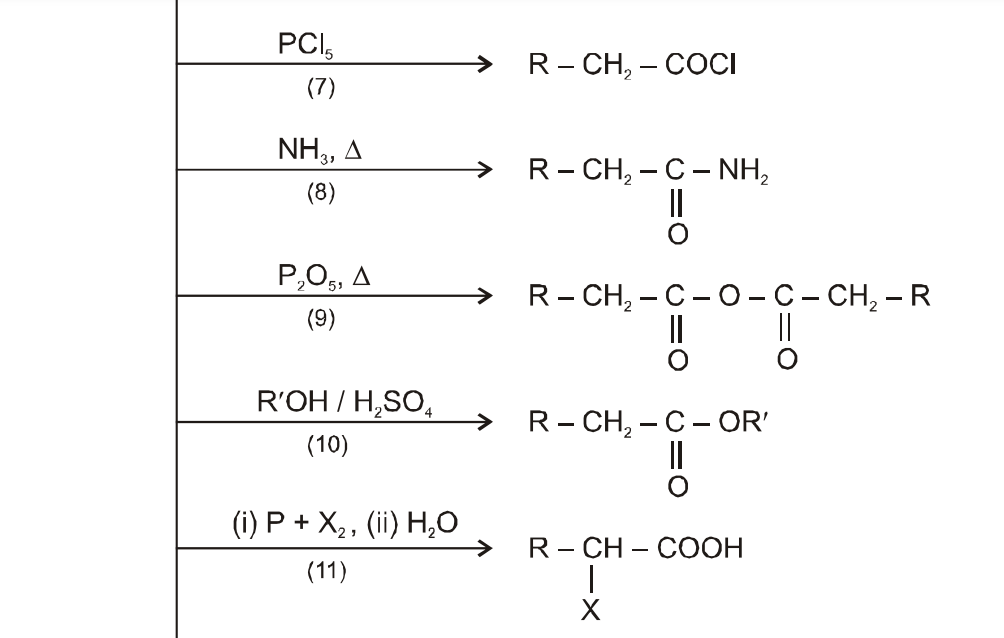 वैकल्पिक पाठ