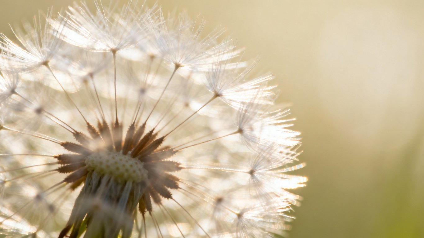 Works on tricky edges - Feature illustration